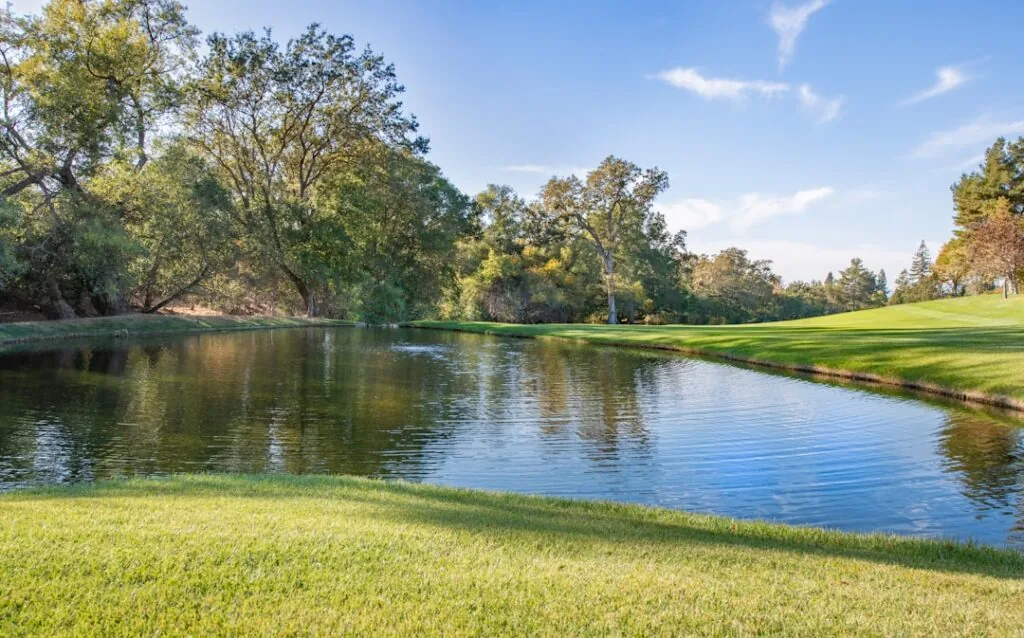 Image-9 shows a tranquil pond bordered by lush grass and trees beneath a clear blue sky with wispy clouds. Sunlight sparkles on the water, capturing a peaceful outdoor atmosphere.