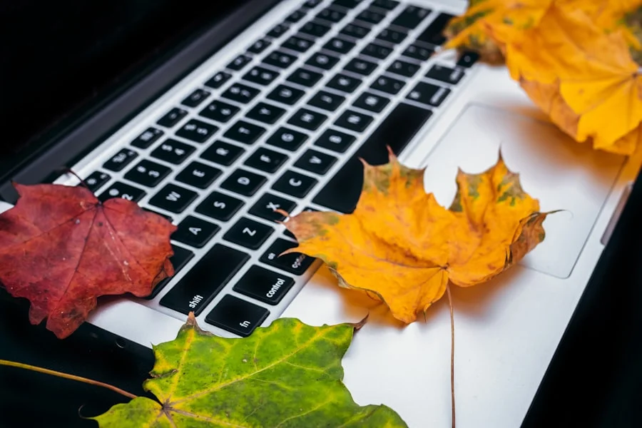 Photo Optimize Blog Posts