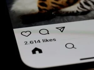 Close-up of a smartphone screen showing image-6 as an Instagram post with 2,614 likes; the like, comment, and share icons appear below part of an animal print photo.
